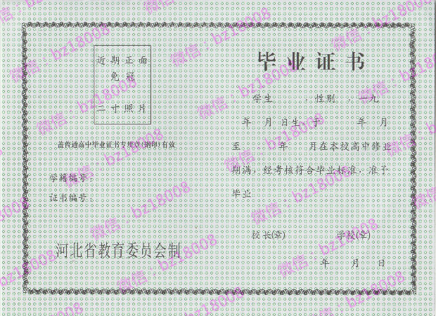 沧州市高中毕业证样本